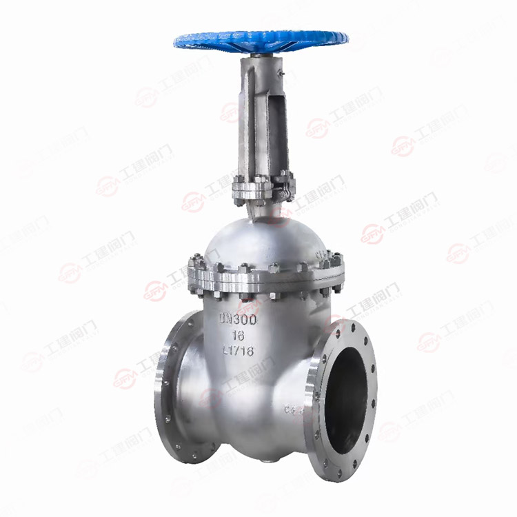 国标不锈钢闸阀