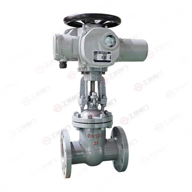 国标电动闸阀