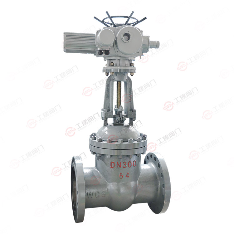 国标电动闸阀